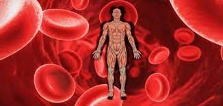 ما المرض الذي يمكن أن يعاني منه الإنسان عند نقص الحديد في دمه