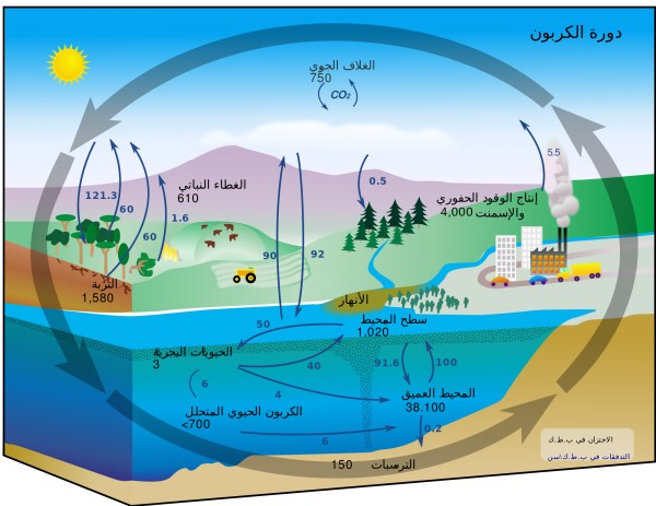 الدورة الجيولوجية هي تبادل المواد عبر المحيط الحيوي بما في ذلك الكائنات الحية والعمليات الكيميائية والجيولوجية