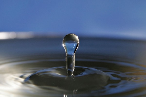 تكيفت اليابسة للحصول على الأكسجين بشكل أكثر كفاءة من الماء بسبب