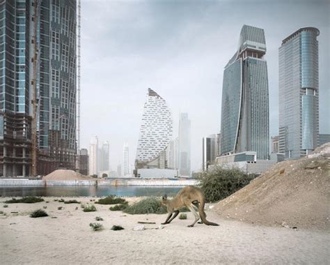 صح ام خطا ، بيئة الإمارات بيئة صحراوية باردة