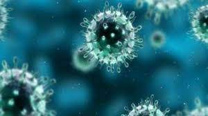 الفيروسات الارتجاعيه لها انزيم الناسخ العكسي ومادته الوراثية DNA صح ام خطا