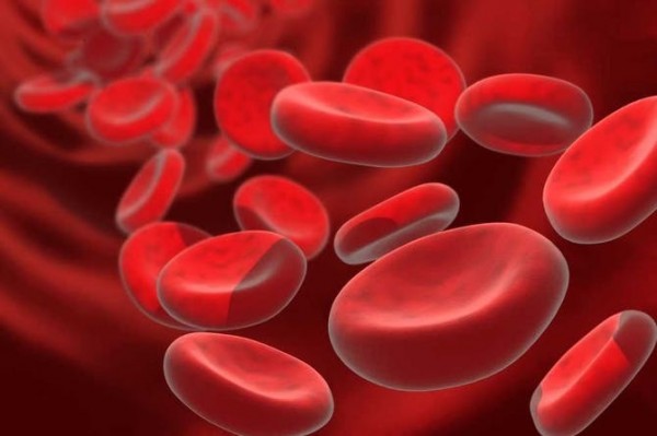 الدم يحمل المنتجات التي تفرز من نشاط الخلية إلى ليتم التخلص منها