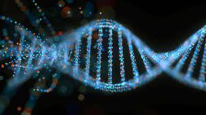 الحمض النووي .......... هو المسؤول عن نقل المعلومات الوراثيه من جيل لاخر