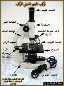 ما نوع المجهر في الشكل التالي
