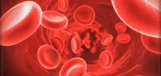 تعتبر خلايا الدم خلايا جسمية صح ام خطا