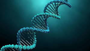 ما هي القواعد النيتروجينية للـ DNA